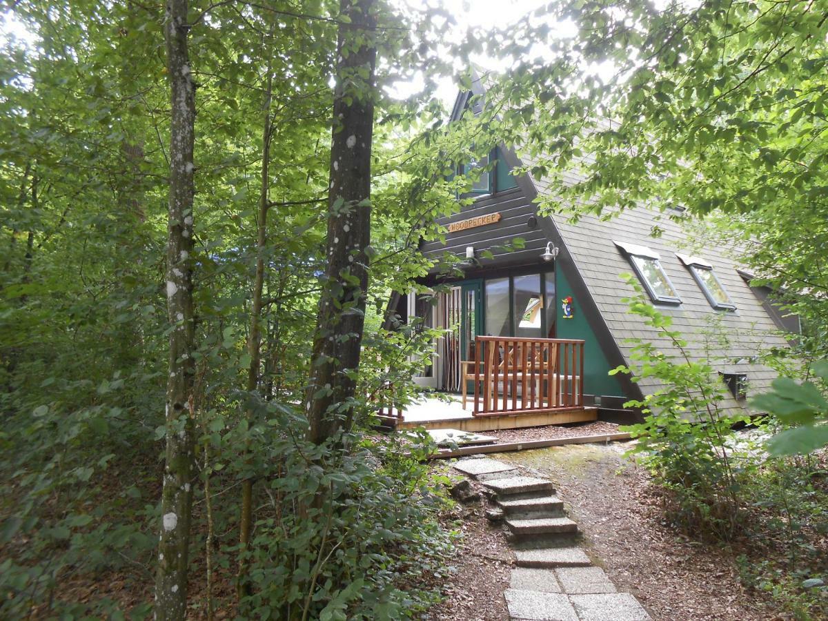 Woodpecker - bungalow 29 Durbuy Exterior foto